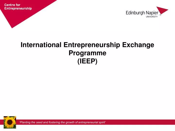 international entrepreneurship exchange programme ieep