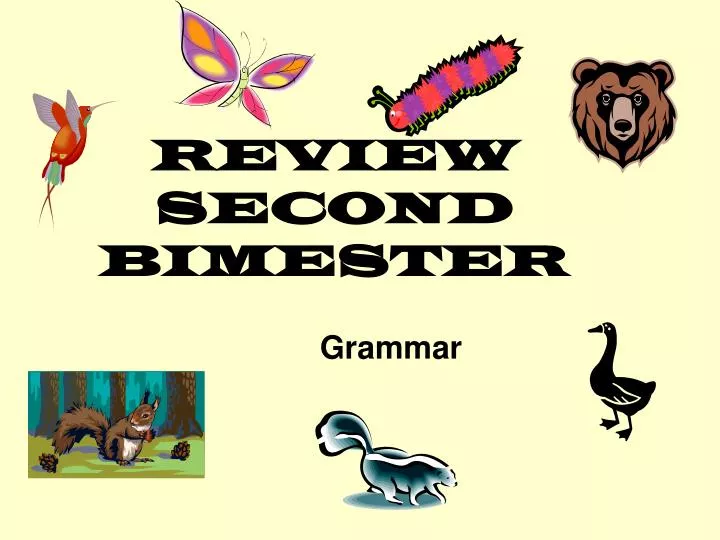 review second bimester