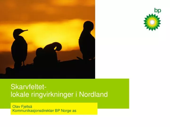 skarvfeltet lokale ringvirkninger i nordland