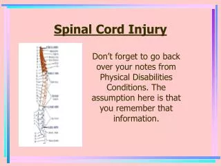 Spinal Cord Injury