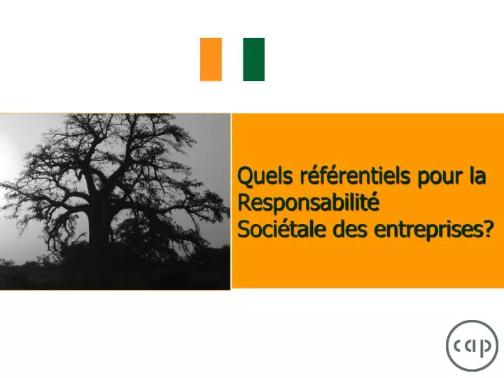 quels r f rentiels pour la responsabilit soci tale des entreprises