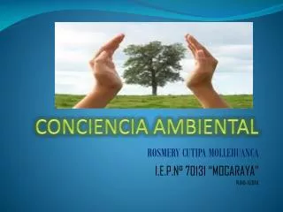 conciencia ambiental