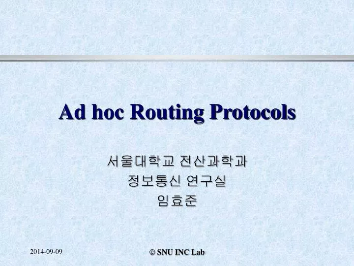 ad hoc routing protocols