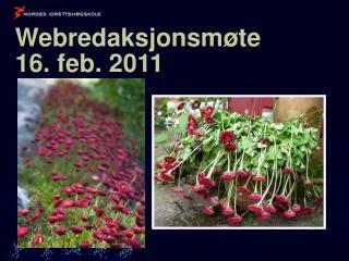 webredaksjonsm te 16 feb 2011