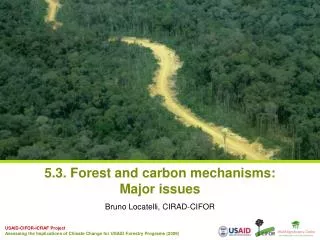 5.3. Forest and carbon mechanisms: Major issues