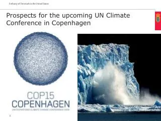 Prospects for the upcoming UN Climate Conference in Copenhagen