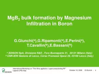 MgB 2 bulk formation by Magnesium Infiltration in Boron