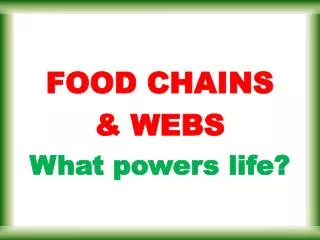 FOOD CHAINS &amp; WEBS What powers life?