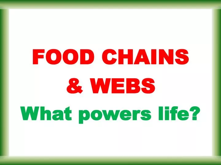 food chains webs what powers life