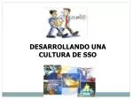 DESARROLLANDO UNA CULTURA DE SSO - slide 1