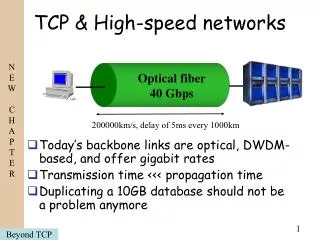 TCP &amp; High-speed networks