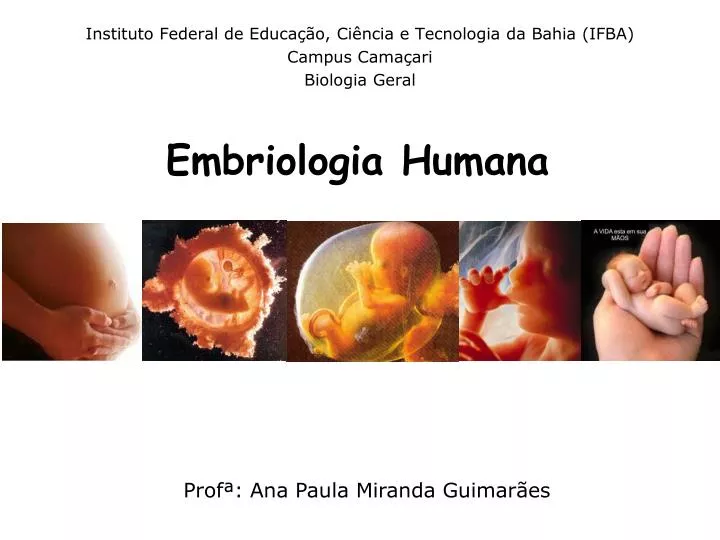 embriologia humana