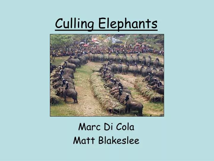 culling elephants