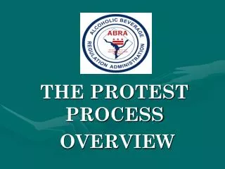 THE PROTEST PROCESS OVERVIEW