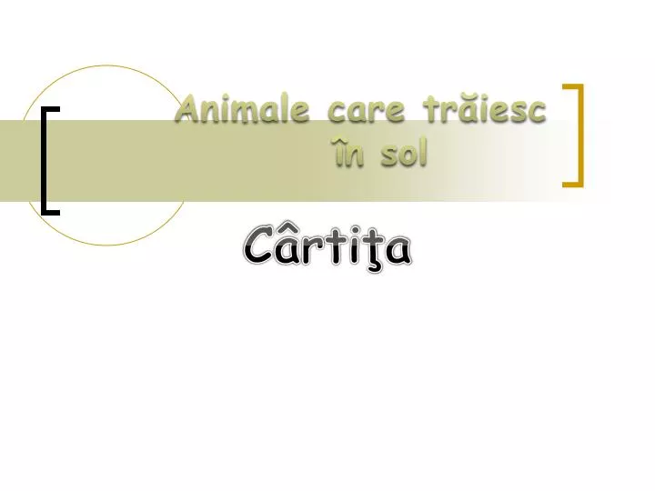 animale care tr iesc n sol