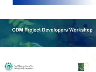 CDM Project Developers Workshop