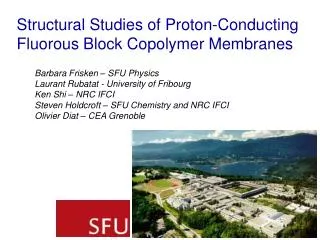 Structural Studies of Proton-Conducting Fluorous Block Copolymer Membranes