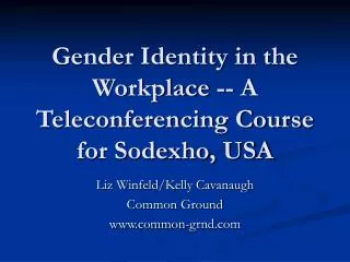Gender Identity in the Workplace -- A Teleconferencing Course for Sodexho, USA