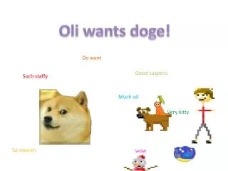 Oli wants doge!