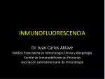 INMUNOFLUORESCENCIA - slide 1