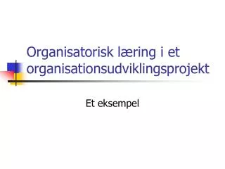 organisatorisk l ring i et organisationsudviklingsprojekt