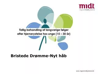 tidlig behandling af langvarige f lger efter hjernerystelse hos unge 15 30 r