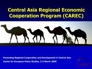 Central Asia Regional Economic Cooperation Program (CAREC)