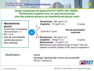 cancers bronchiques