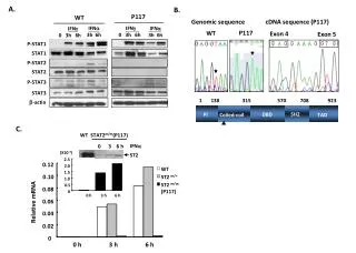 P-STAT2