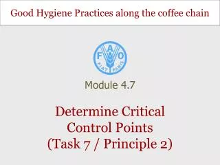 Determine Critical Control Points (Task 7 / Principle 2)