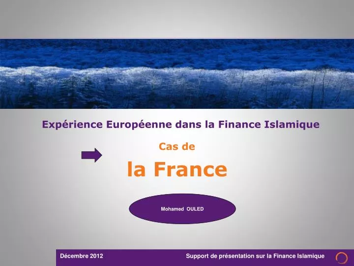exp rience europ enne dans la finance islamique