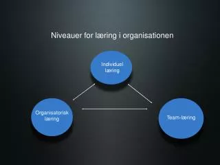 niveauer for l ring i organisationen