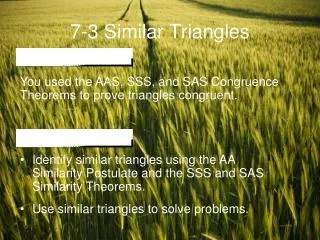 7-3 Similar Triangles