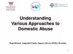 Understanding Various Approaches to Domestic Abuse - slide 1