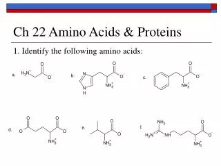 Ch 22 Amino Acids &amp; Proteins
