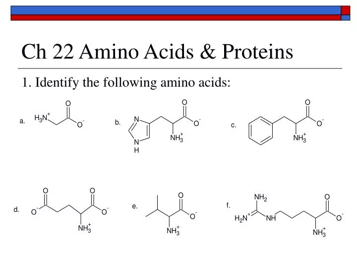 ch 22 amino acids proteins