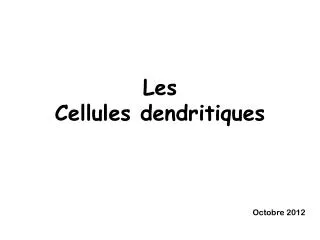 les cellules dendritiques