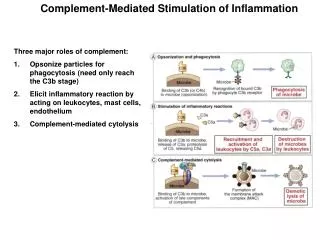 Complement-Mediated Stimulation of Inflammation