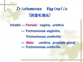 Trichomonas Vaginalis ( ????? )