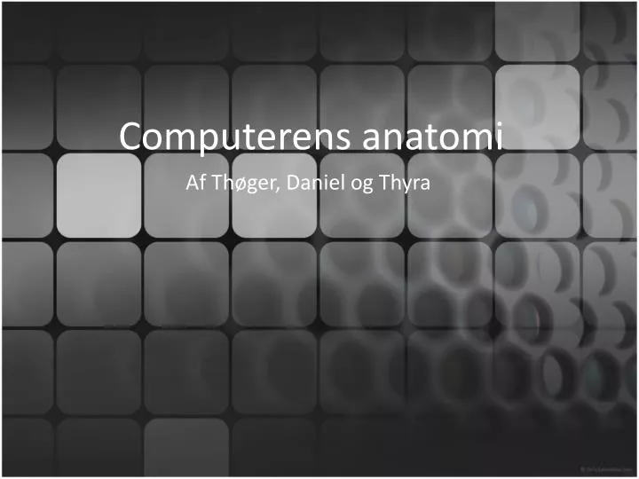 computerens anatomi