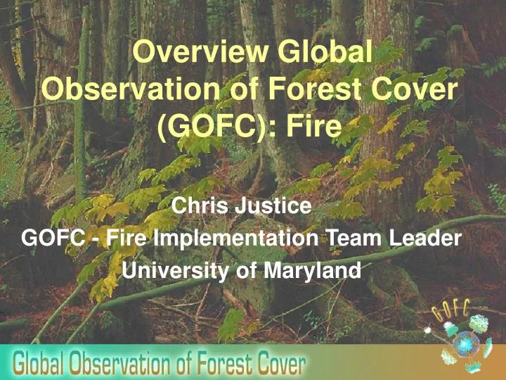 overview global observation of forest cover gofc fire
