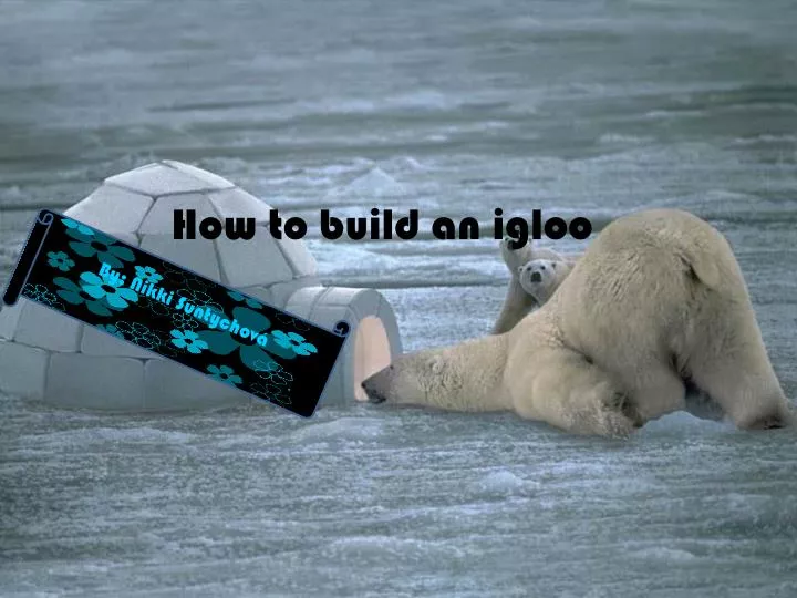 how to build an igloo