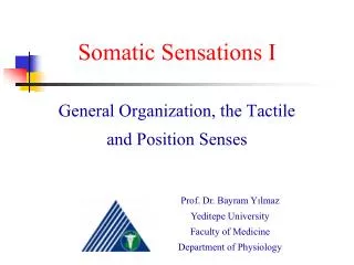 Somatic Sensations I General Organization, the Tactile and Position Senses