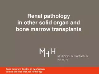 Renal pathology in other solid organ and bone marrow transplants