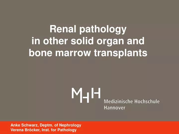 renal pathology in other solid organ and bone marrow transplants