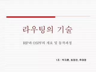 rip ospf