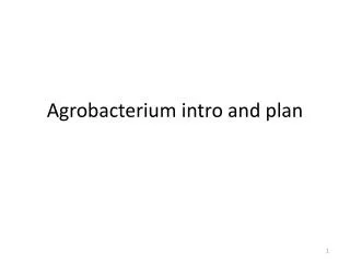 Agrobacterium intro and plan