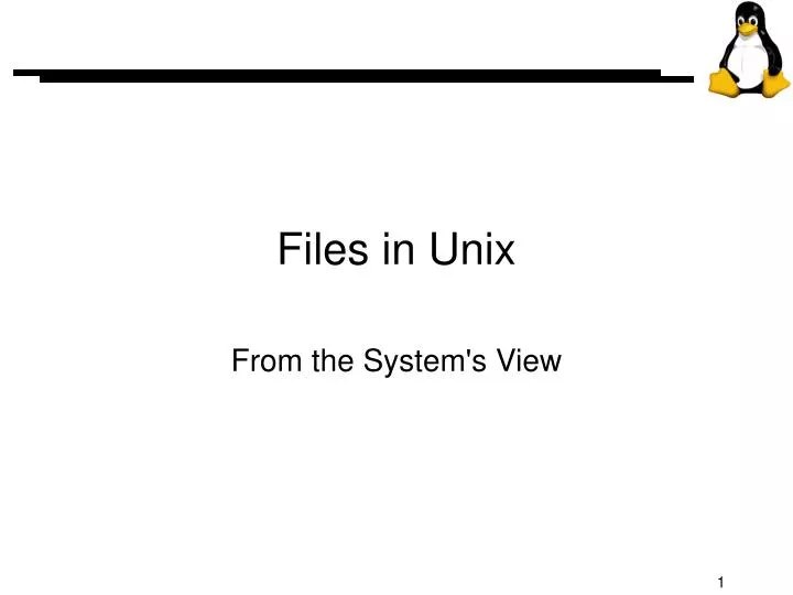 files in unix