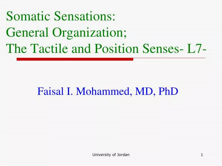 somatic sensations general organization the tactile and position senses l7