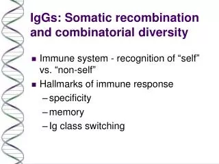 IgGs: Somatic recombination and combinatorial diversity